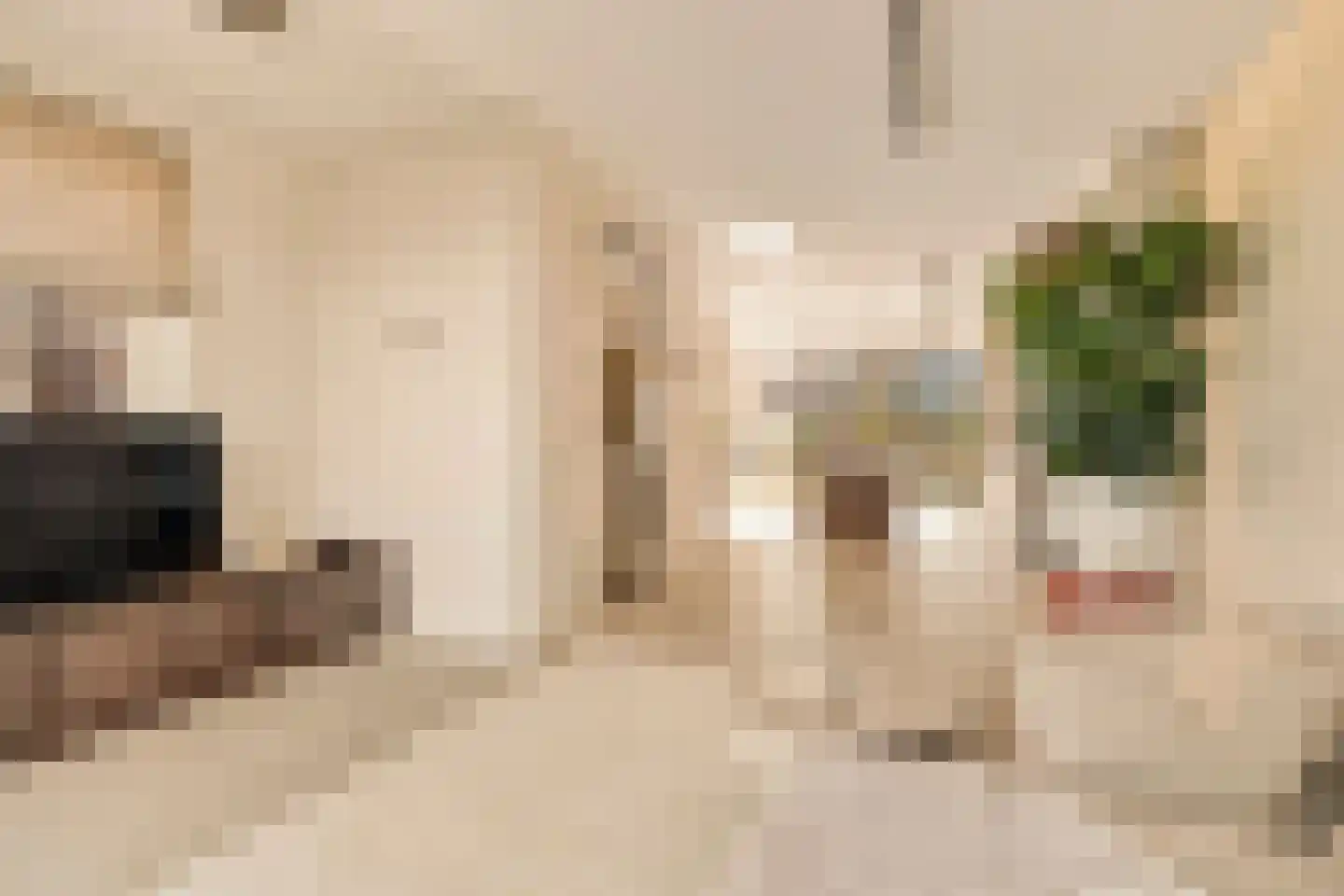 Swaenenvechtlaan 5 Weesp thumbnail 7