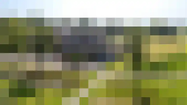 Swaenwerterdyk 7 Wiuwert
