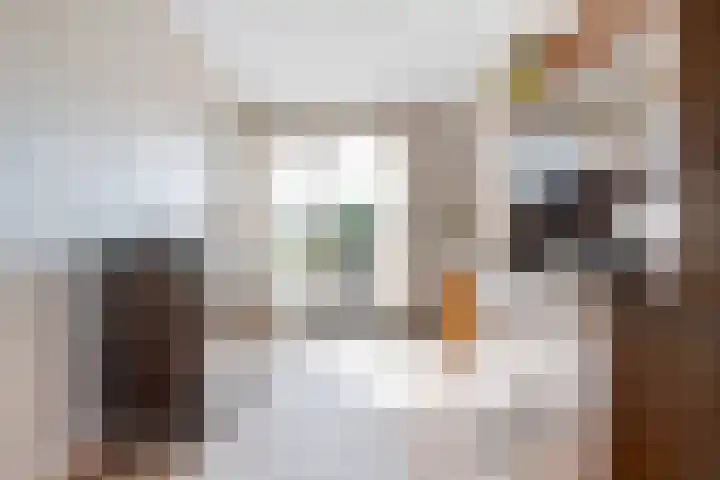 Swaenwerterdyk 7 Wiuwert thumbnail 11