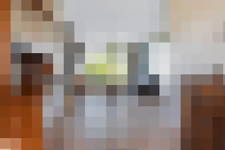 Swaenwerterdyk 7 Wiuwert thumbnail 12
