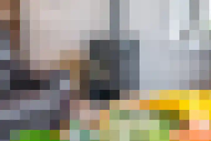 Swaenwerterdyk 7 Wiuwert thumbnail 13