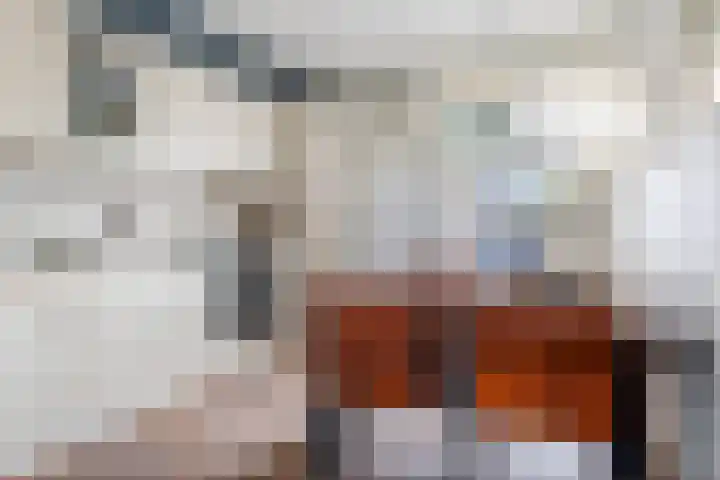 Swaenwerterdyk 7 Wiuwert thumbnail 14