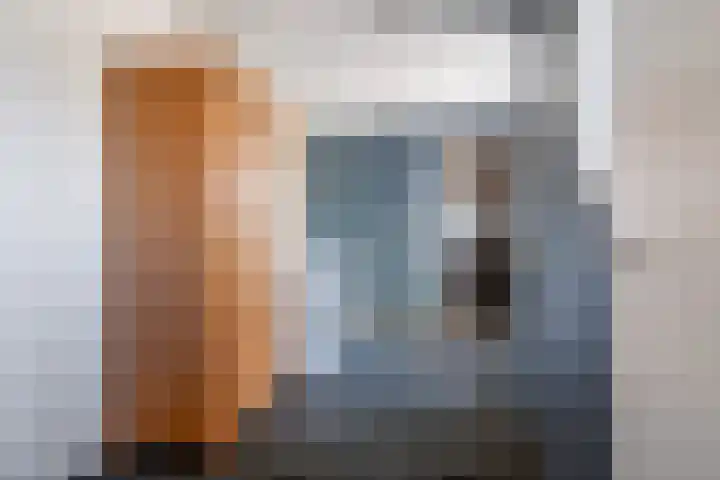 Swaenwerterdyk 7 Wiuwert thumbnail 16
