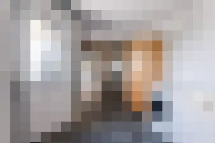 Swaenwerterdyk 7 Wiuwert thumbnail 17
