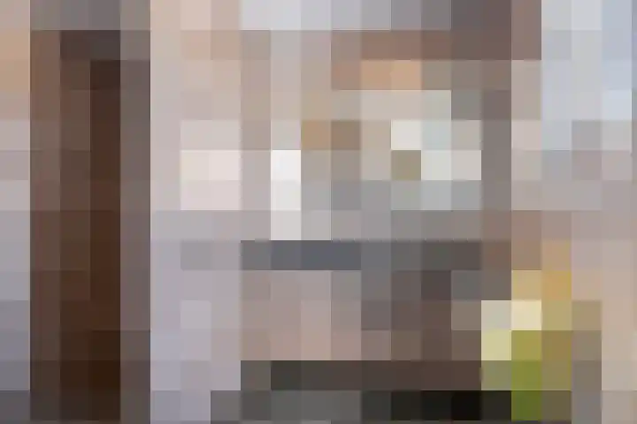 Swaenwerterdyk 7 Wiuwert thumbnail 18