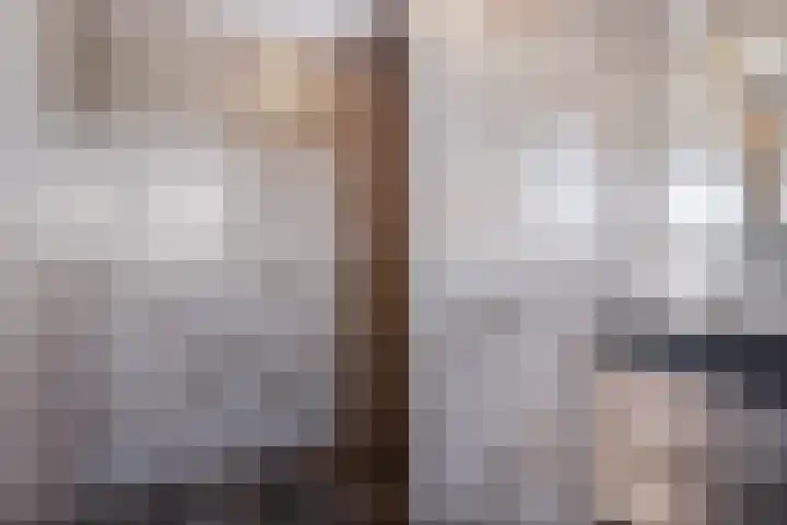 Swaenwerterdyk 7 Wiuwert thumbnail 19