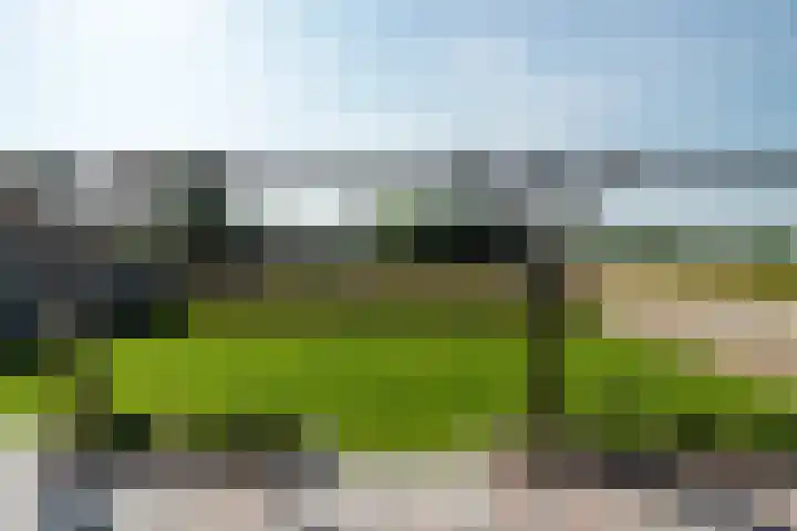 Swaenwerterdyk 7 Wiuwert foto 2