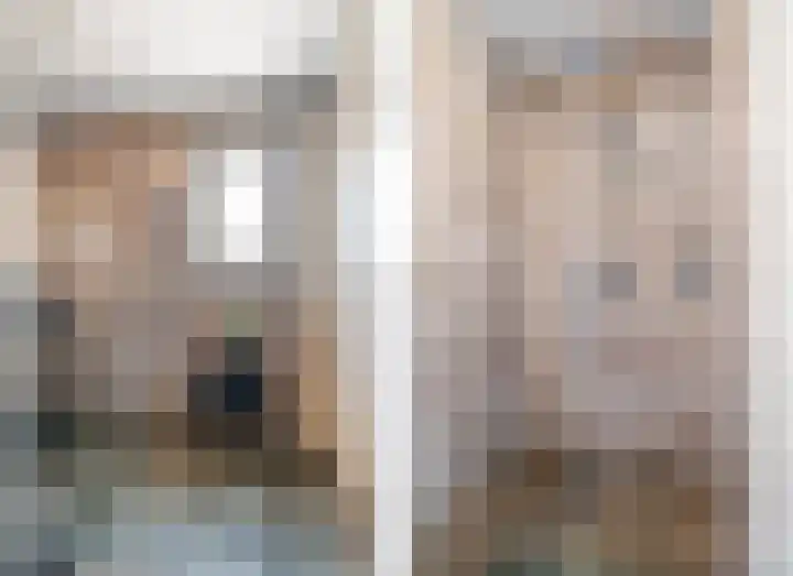 Swaenwerterdyk 7 Wiuwert thumbnail 20