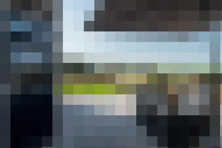 Swaenwerterdyk 7 Wiuwert thumbnail 21