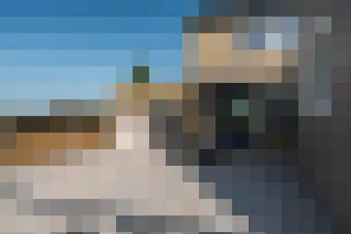 Swaenwerterdyk 7 Wiuwert thumbnail 22