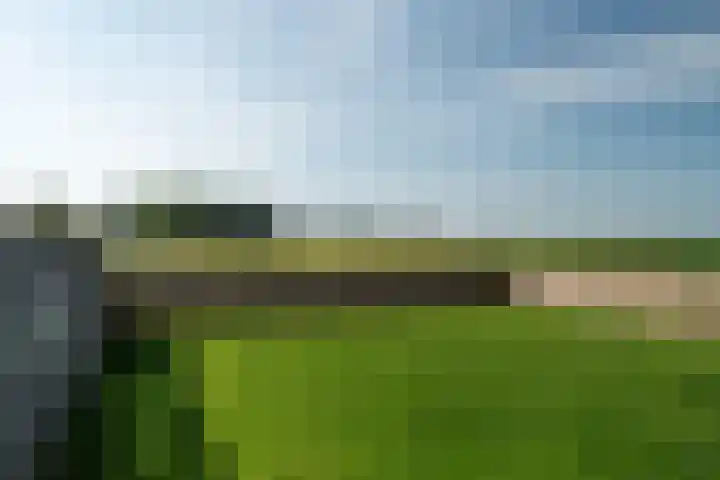 Swaenwerterdyk 7 Wiuwert thumbnail 25