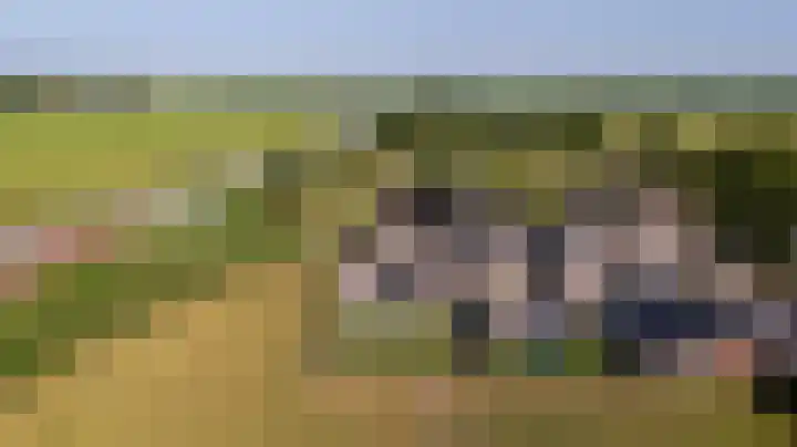 Swaenwerterdyk 7 Wiuwert thumbnail 26