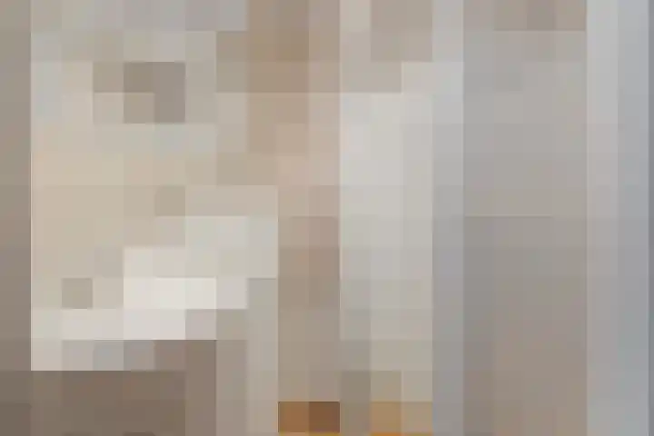 Swaenwerterdyk 7 Wiuwert thumbnail 28