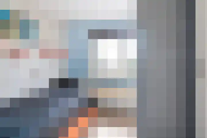 Swaenwerterdyk 7 Wiuwert thumbnail 30