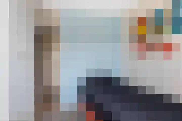 Swaenwerterdyk 7 Wiuwert thumbnail 31