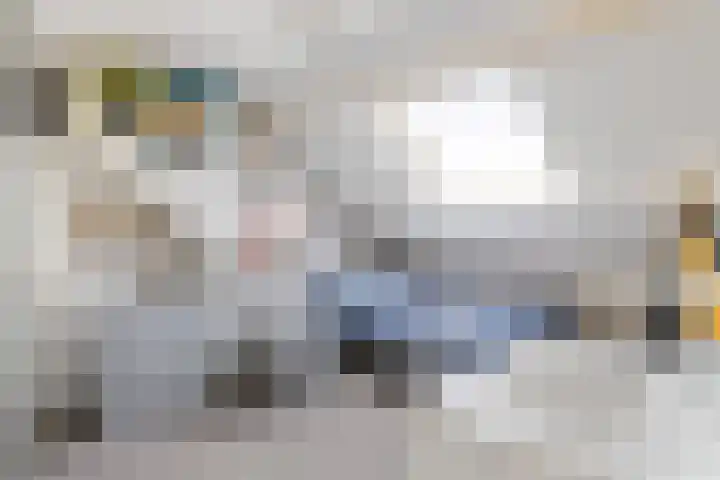 Swaenwerterdyk 7 Wiuwert thumbnail 34