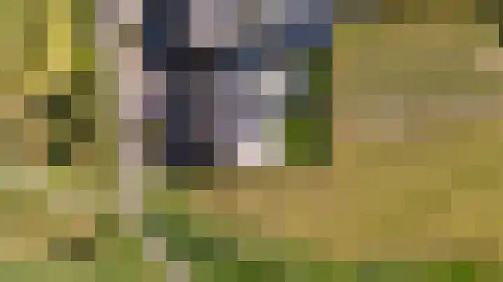 Swaenwerterdyk 7 Wiuwert thumbnail 38