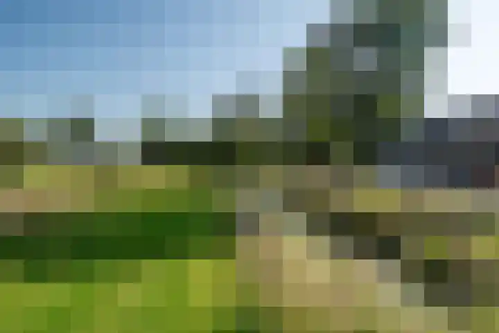 Swaenwerterdyk 7 Wiuwert thumbnail 39