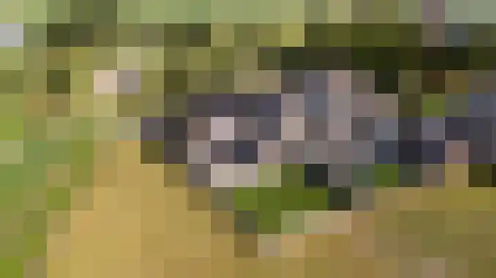 Swaenwerterdyk 7 Wiuwert thumbnail 4