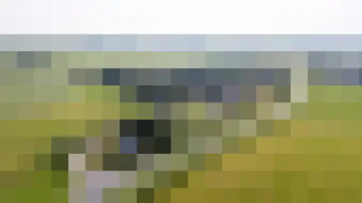Swaenwerterdyk 7 Wiuwert thumbnail 40