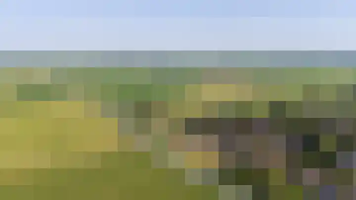 Swaenwerterdyk 7 Wiuwert thumbnail 41