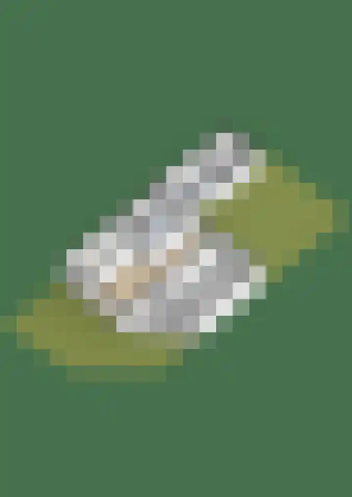 Swaenwerterdyk 7 Wiuwert thumbnail 49