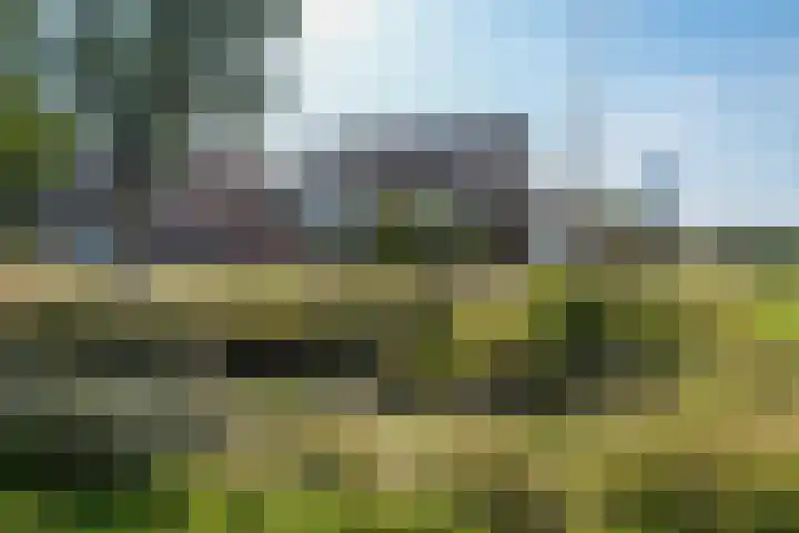 Swaenwerterdyk 7 Wiuwert thumbnail 5