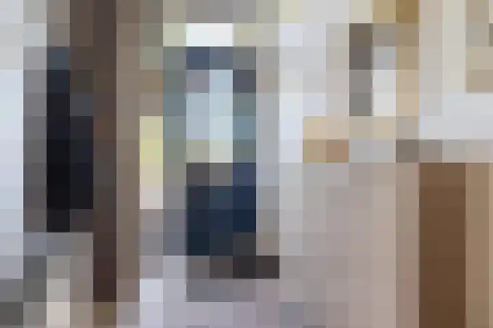 Swaenwerterdyk 7 Wiuwert thumbnail 6
