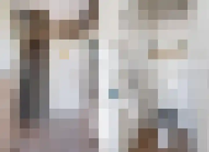 Swaenwerterdyk 7 Wiuwert thumbnail 8