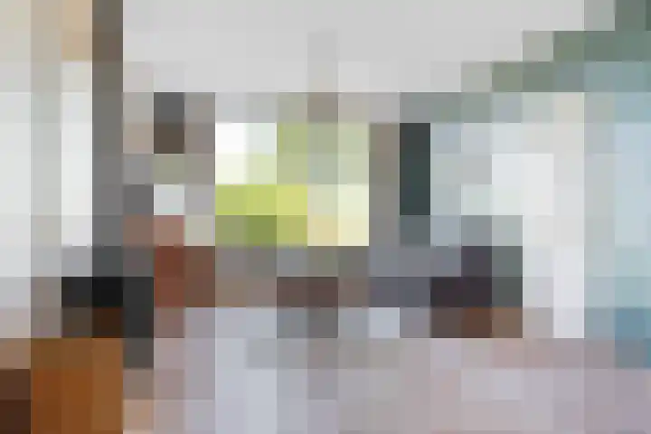 Swaenwerterdyk 7 Wiuwert thumbnail 9