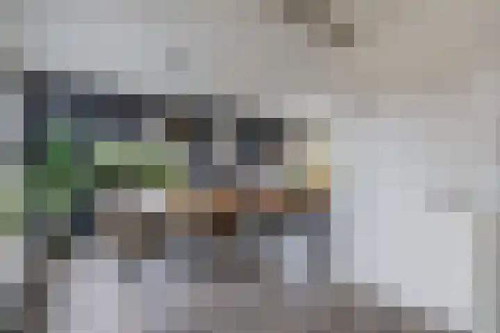 Swaerderwei 1 C Tzummarum thumbnail 10