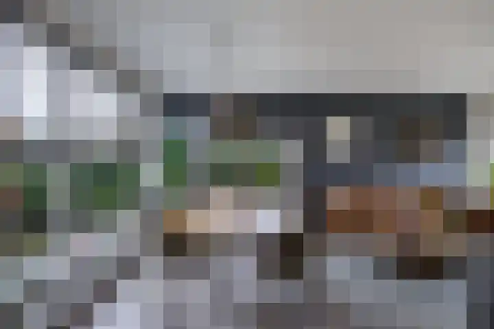 Swaerderwei 1 C Tzummarum thumbnail 11