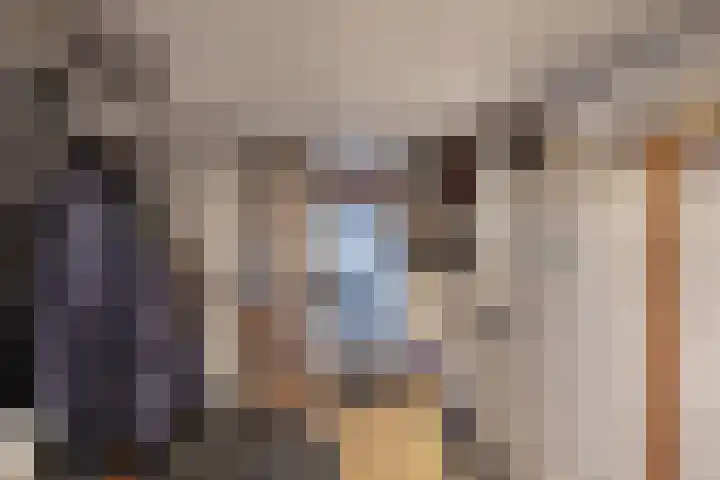 Swaerderwei 1 C Tzummarum thumbnail 19