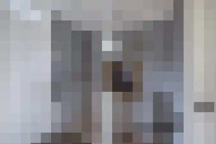 Swaerderwei 1 C Tzummarum thumbnail 26
