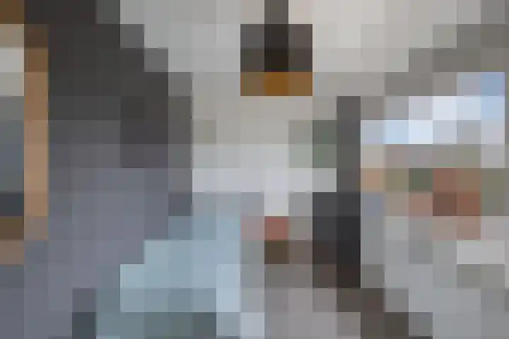 Swaerderwei 1 C Tzummarum thumbnail 29