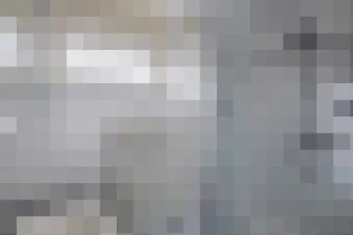 Swaerderwei 1 C Tzummarum thumbnail 33