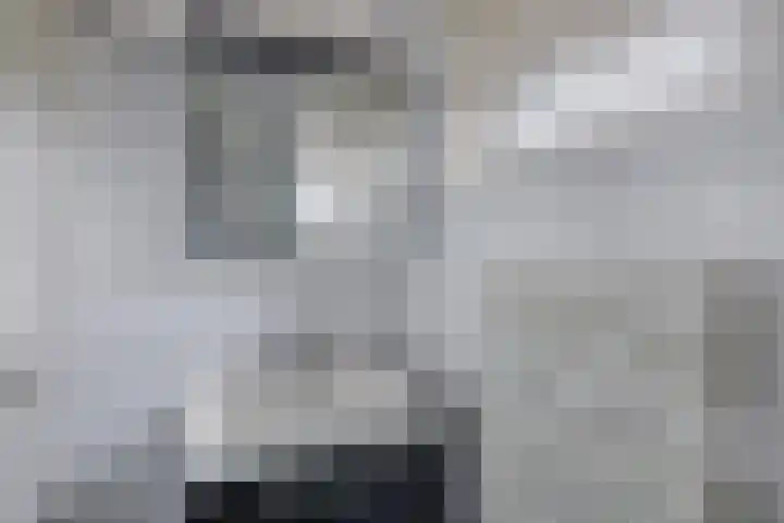 Swaerderwei 1 C Tzummarum thumbnail 34