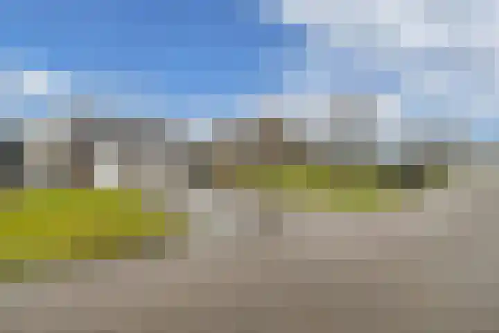 Swaerderwei 1 C Tzummarum thumbnail 4