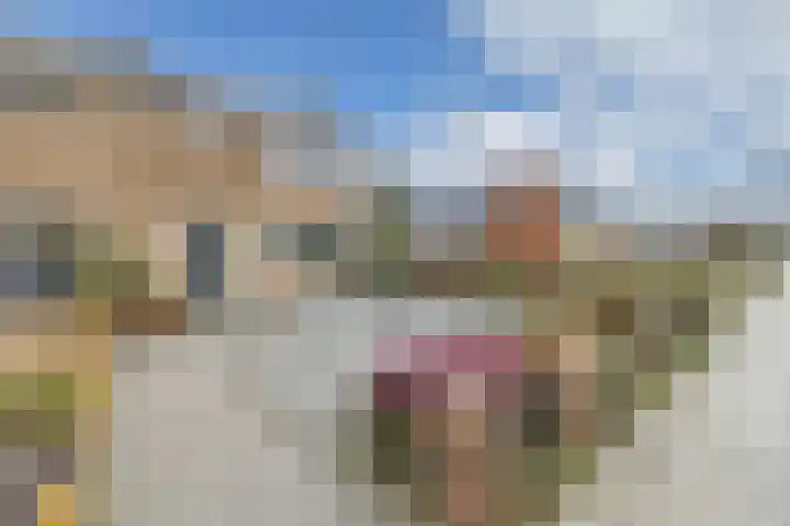 Swaerderwei 1 C Tzummarum thumbnail 5