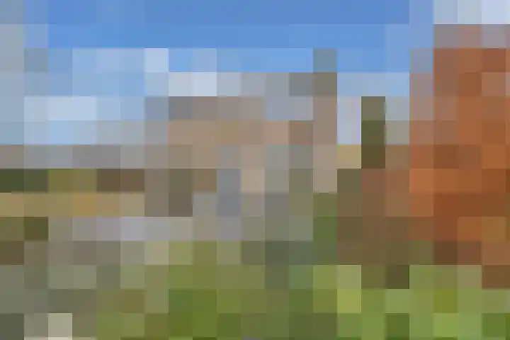 Swaerderwei 1 C Tzummarum thumbnail 6