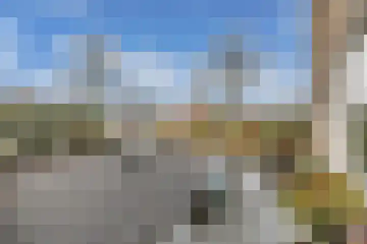 Swaerderwei 1 C Tzummarum thumbnail 7