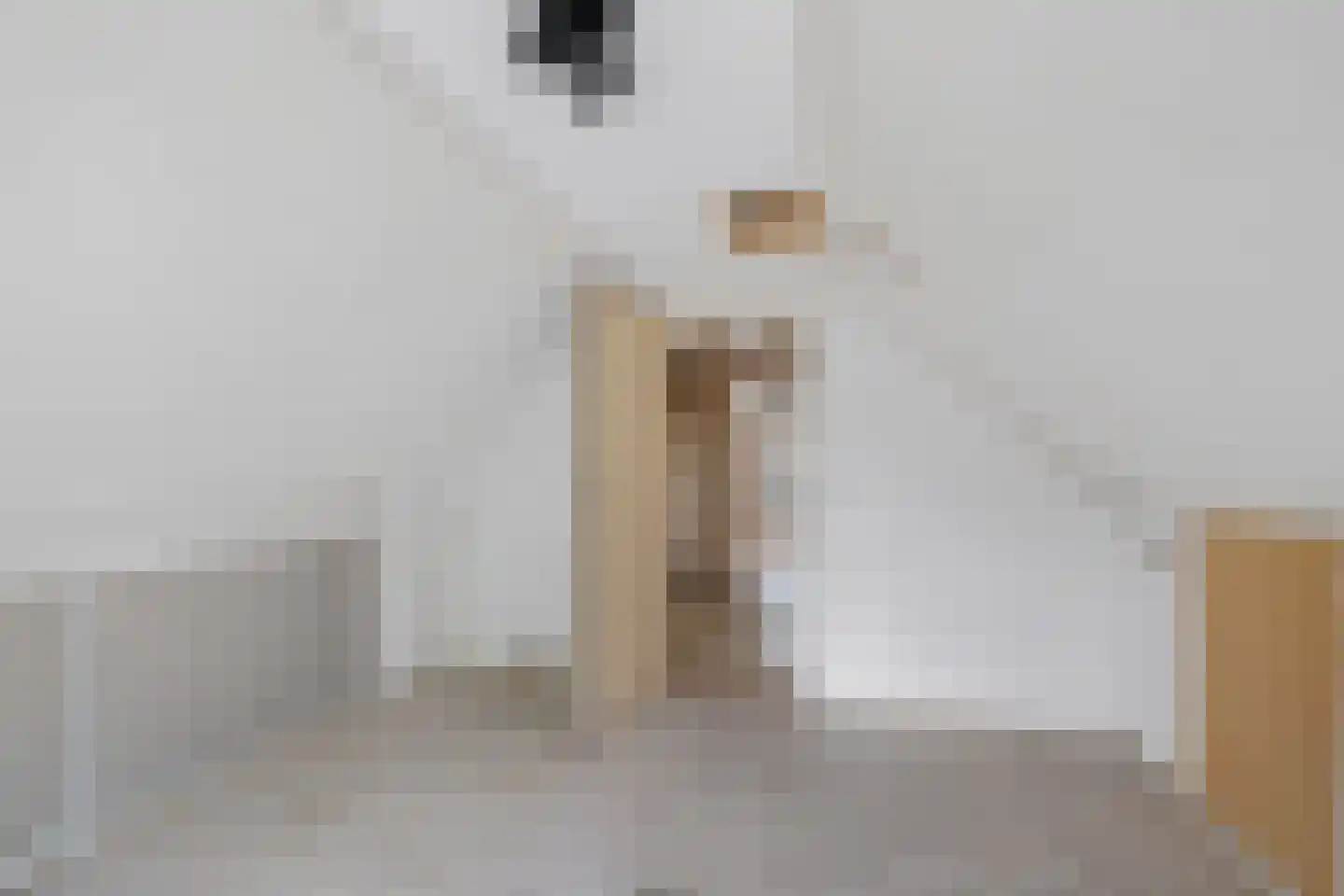 Swaerderwei 26 Tzummarum thumbnail 23