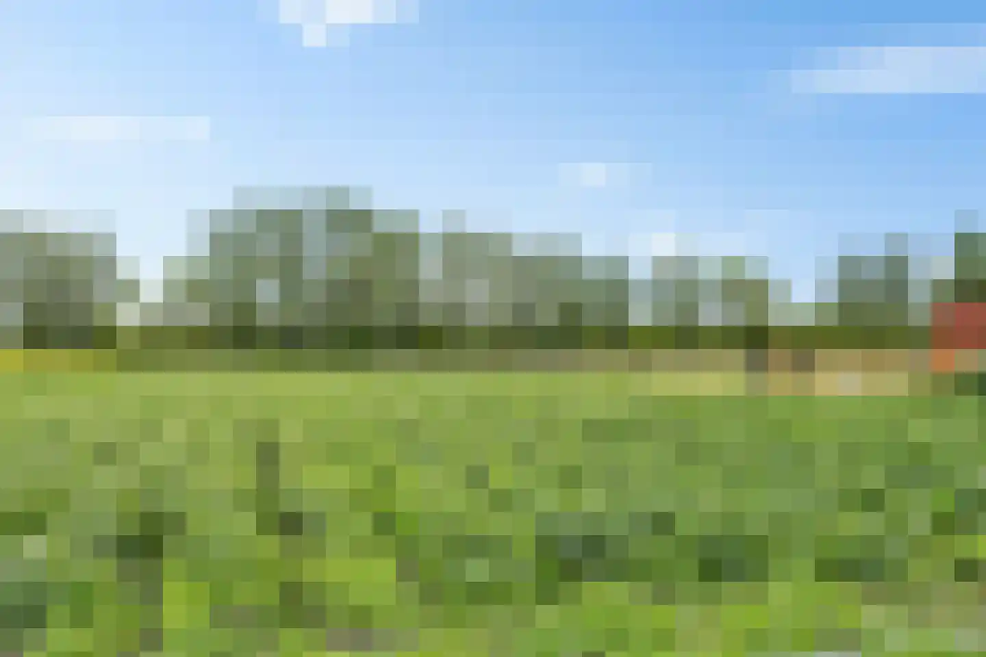 Swaerderwei 26 Tzummarum thumbnail 29