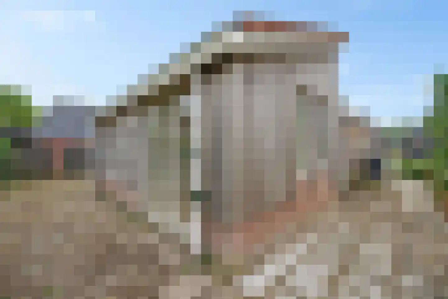 Swaerderwei 26 Tzummarum thumbnail 31