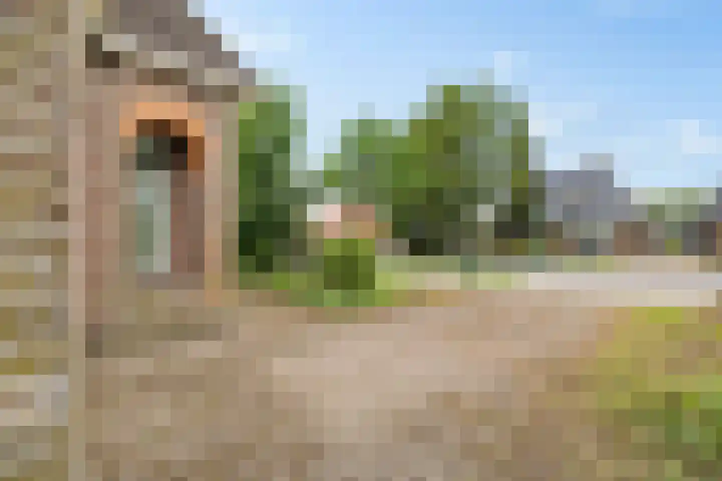 Swaerderwei 26 Tzummarum thumbnail 33