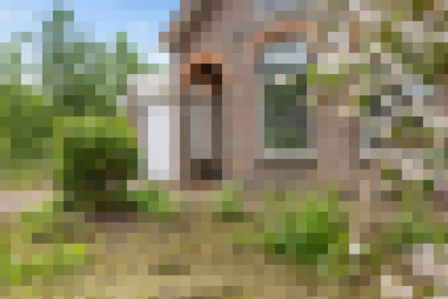 Swaerderwei 26 Tzummarum thumbnail 36