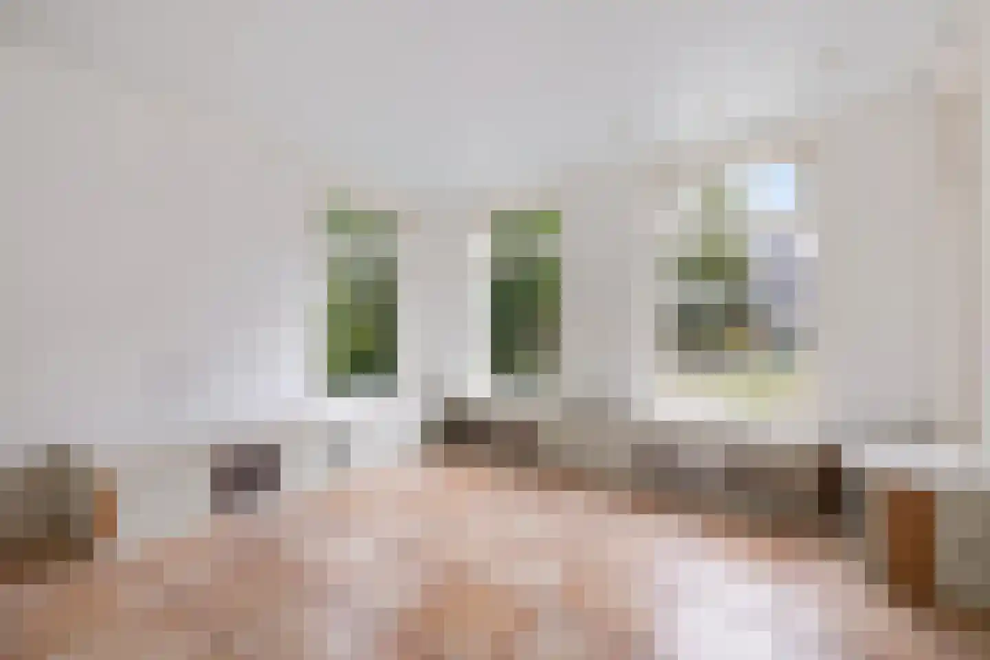 Swaerderwei 26 Tzummarum thumbnail 4