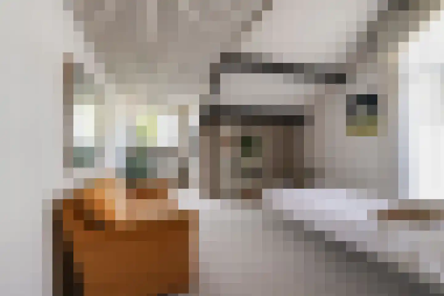 Swalm 12 Tilburg thumbnail 41