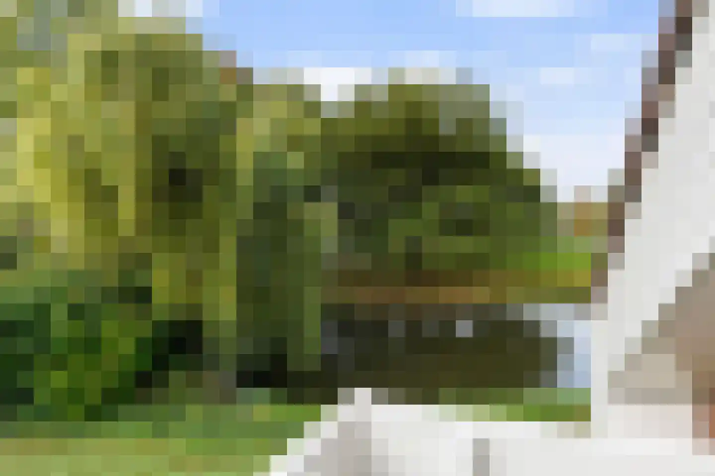 Swalm 12 Tilburg thumbnail 53