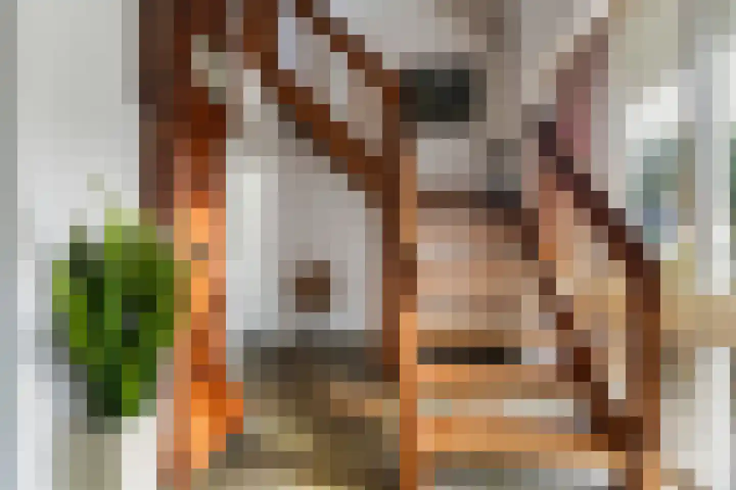 Swalm 12 Tilburg thumbnail 6
